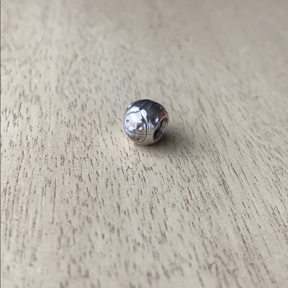 Pandora charm
